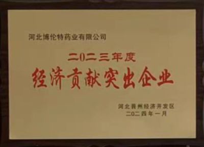 经济贡献突出企业